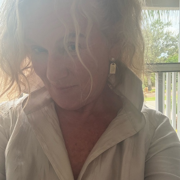 Chico's Elegant Shimmering Silver Cream Textured Dress - Picture 6 of 8